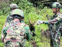 Satgas Gabungan Pamtas RI-PNG Ungkap Empat Kebun Ganja di Pegunungan Bintang, Papua
