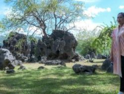 Wamenpar Cek Kesiapan Geopark Maros-Pangkep Jelang Revalidasi Status Global Geopark