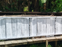 Kago Bangkit: Dari Peternakan ke Pemberdayaan Masyarakat