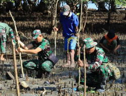 Lestarikan Pantai, Satgas TMMD Kodim 1505/Tidore Galakkan Penanaman Mangrove di Oba Selatan