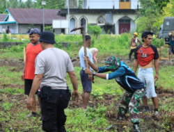 Hari Pertama TMMD Ke-126 Kodim 1505/Tidore, Satgas dan Warga Kerjakan Sasaran Fisik