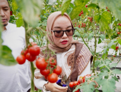 Wamenkop Perkuat Peran Pesantren Sebagai Pilar Penting Pengembangan Koperasi