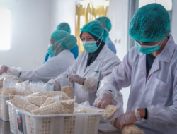 Kementerian UMKM Dukung Pengembangan Usaha Tempe