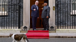 Kembali ke Downing Street, Presiden Prabowo “Disambut” Larry the Cat