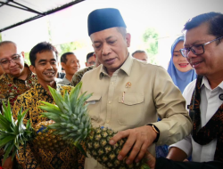 Menkop: Ekspor Manggis Oleh Koperasi Produsen Upland Subang Farm, Bukti Penggerak Ekonomi Desa