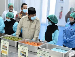 Perkuat Program MBG, Presiden Prabowo Resmikan 1.072 SPPG dan 18 Gudang Ketahanan Pangan