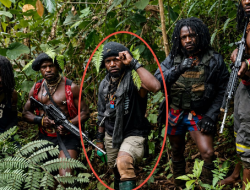 Koops TNI Habema Lakukan Penindakan Terhadap Tokoh Penting OPM Jeki Murib di Puncak