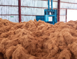 RPB Minahasa Selatan Ekspor Perdana Olahan Sabut Kelapa ke China