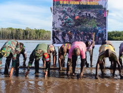 Bersatu Dengan Alam, Satgas TMMD Kodim 1710/Mimika Tanam Ribuan Bibit Mangrove