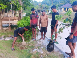 Satgas TMMD Ke-129 Tanam 500 Pohon Produktif Untuk Masa Depan Masyarakat Sesor