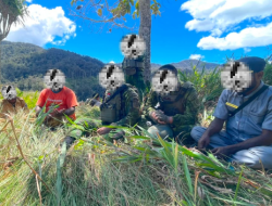 Koops TNI Habema Hadirkan Kembali Negara di Bawah Kaki Gunung Cartenz Setelah 15 Tahun Terisolasi