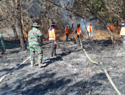 TNI Kerahkan 14.167 Personel Tangani Karhutla di Sejumlah Wilayah