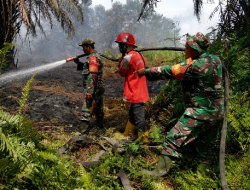 TNI Siagakan 66.510 Personel Tangani Karhutla di Seluruh Indonesia