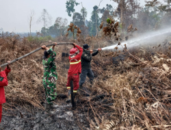 TNI Siagakan 73.766 Personel Tangani Karhutla di Berbagai Wilayah