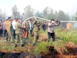 Komandan Lanud Sjamsudin Noor Pimpin Pemadaman Kebakaran Hutan dan Lahan di Kalsel
