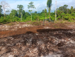 TMMD Ke-129 Tuntaskan Pembukaan Lahan 1 Hektar, Siap Ditanami