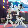 Wakil Panglima TNI Buka 8th Asian Taekwondo Indonesia Open Championship 2026