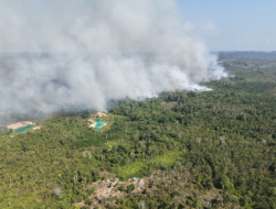 Respons Cepat Karhutla Dekat IKN, TNI Gerakkan Helikopter Caracal Untuk Water Bombing