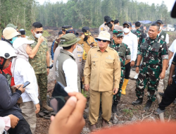 Danlanud Sjamsudin Noor Dampingi Menhut RI Tinjau Hutan Lindung Liang Anggang